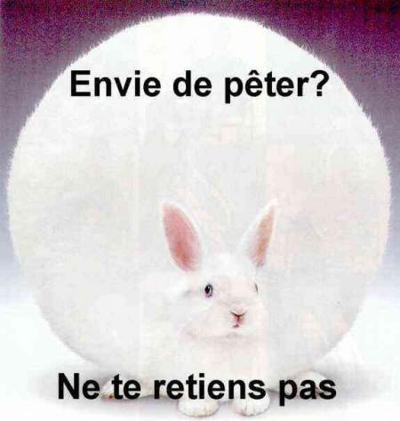 prout