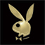 play boy
